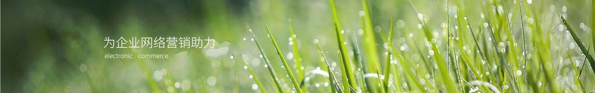 ʳƷеݣ޹˾